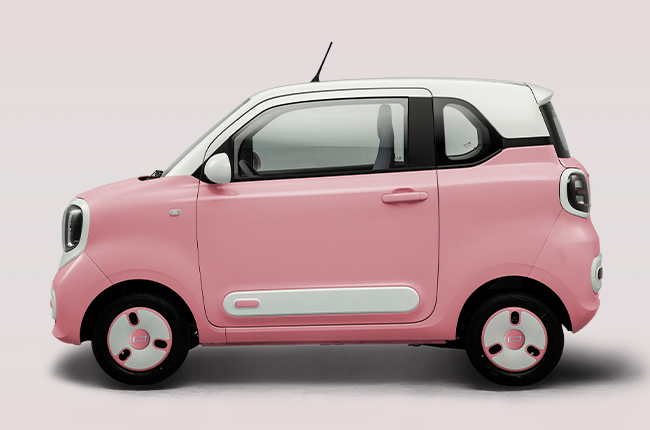 Bestune Pony Side Profile