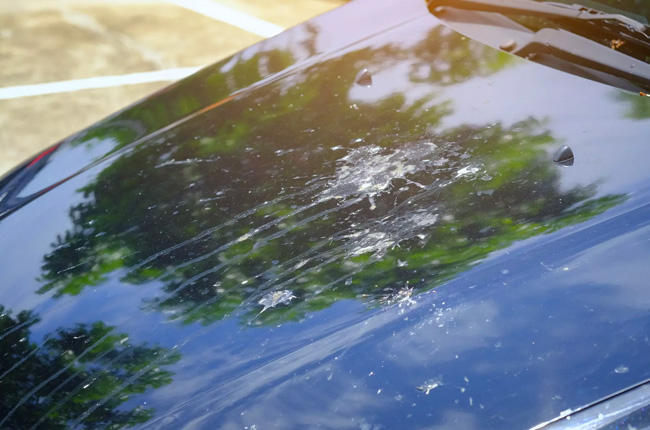 How to take care of your car’s paint | Autodeal