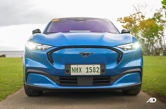  Ford Mustang Mach-E Grille