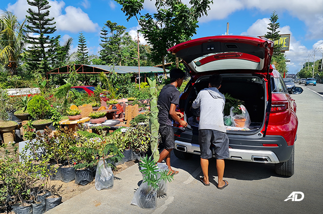 Ford Territory Cargo Space