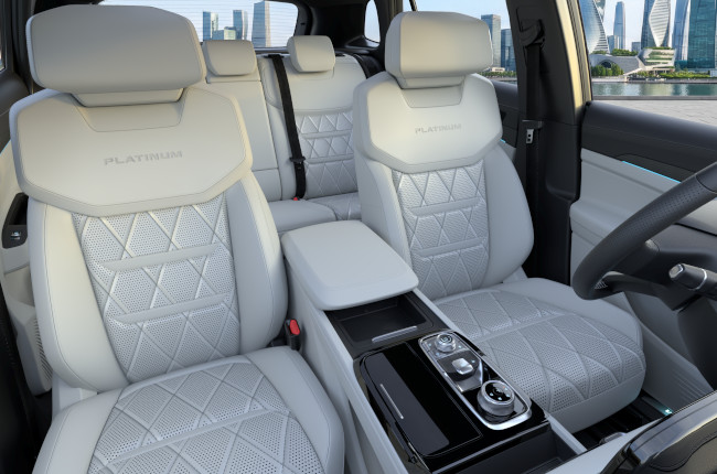 Ford Territory Hybrid Platinum Cover