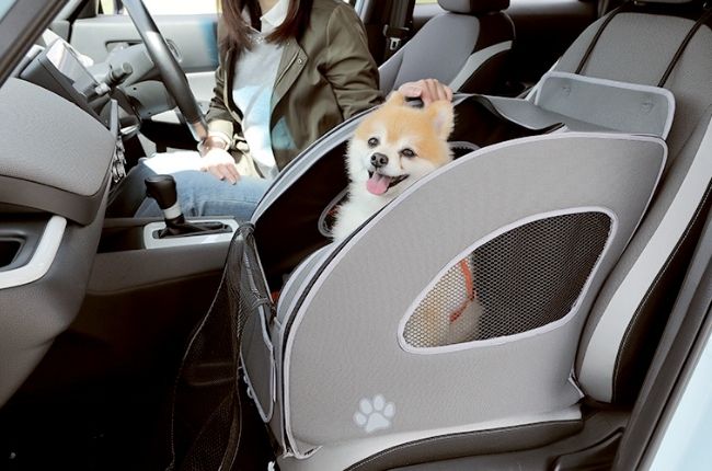 Honda unveils adorable new dog accessories | Autodeal