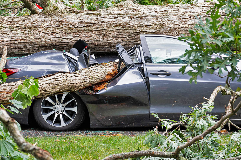 Things to consider when getting a long-term comprehensive car insurance plan