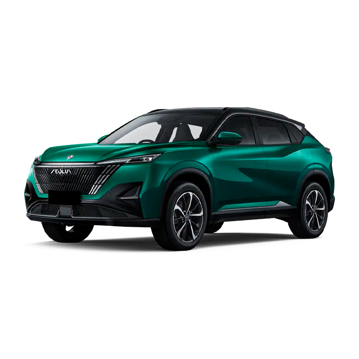 Dongfeng Aeolus Mage-Green
