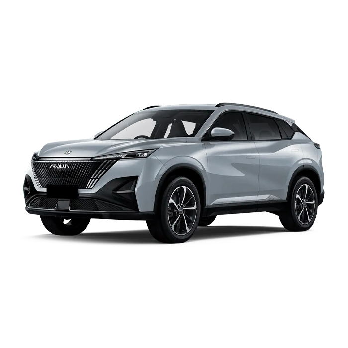 Dongfeng Aeolus Mage-Silver