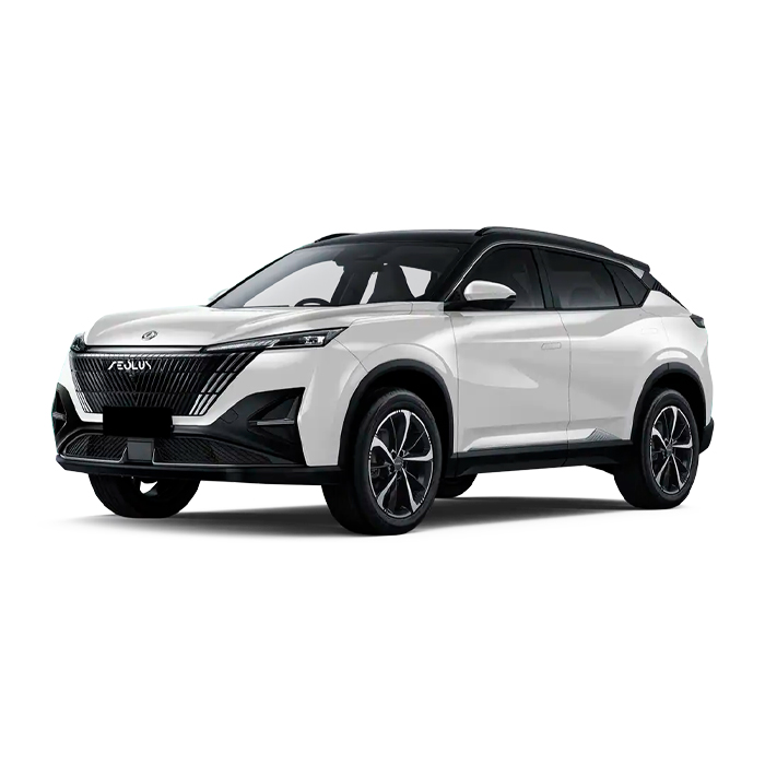 Dongfeng Aeolus Mage-White