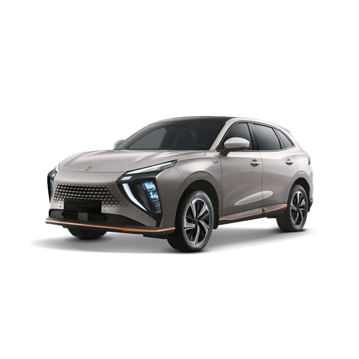 Dongfeng Forthing Friday-Moon Grey
