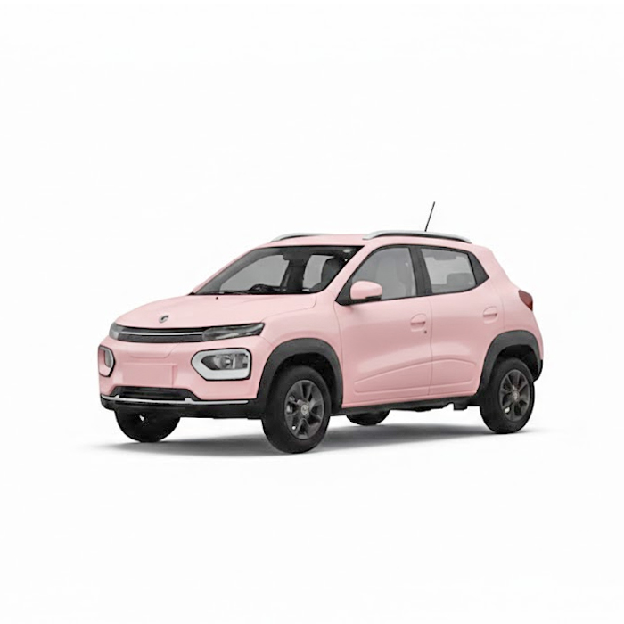 Dongfeng Nanobox-Pink