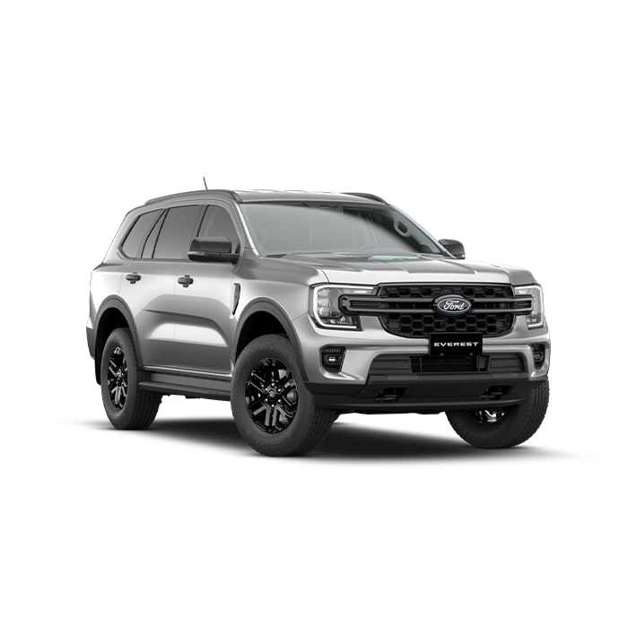 Ford Everest Aluminum Metallic