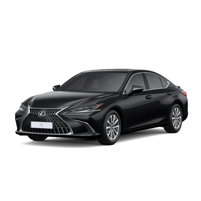 Lexus ES-Graphite Black Glass Flake