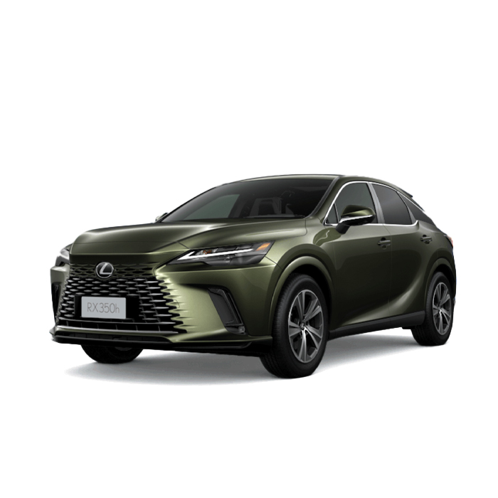 Lexus RX -Terrane Khaki Mica Metallic
