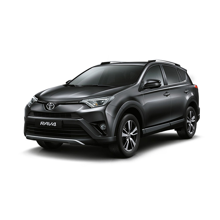 Toyota Rav4 Gray Metallic
