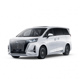 DENZA D9-White