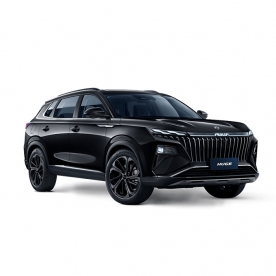 Dongfeng Aeolus Huge-Black