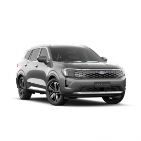 Ford Territory- Lustrous Grey