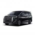 Hongqi HQ9- Dark Night II