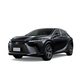 Lexus RX-Graphite Black Glass Flake