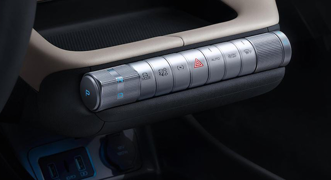 BYD Dolphin Center Controls