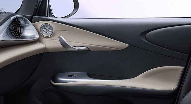BYD Dolphin Door Panel