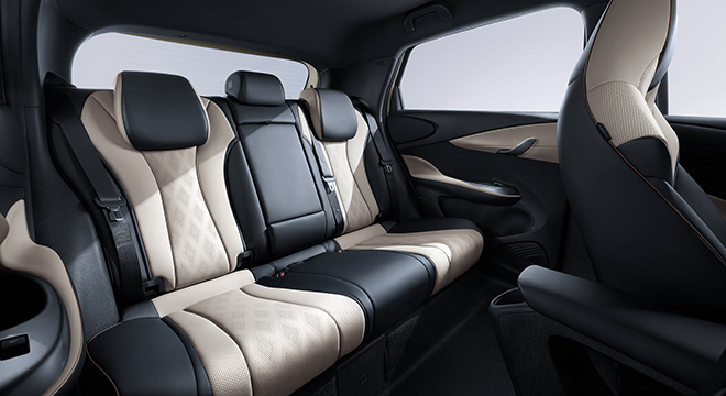 BYD Dolphin Rear Seats