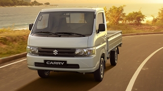 2020 Suzuki Carry exterior press photo