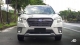 2024 Subaru Forester Front
