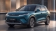 BYD Atto 2 DM-i