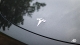 Tesla Model Y Badge