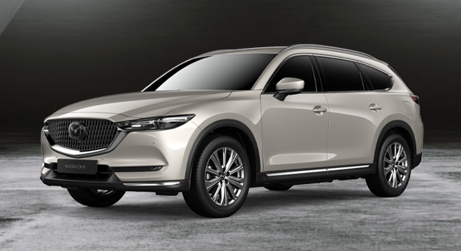 Mazda CX-8 2.5L AT AWD Exclusive (6-Seater)