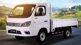  Foton Gratour TM300 dropside