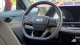 Ford Territory Titanium Steering Wheel