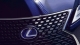 Lexus RX350 Grille