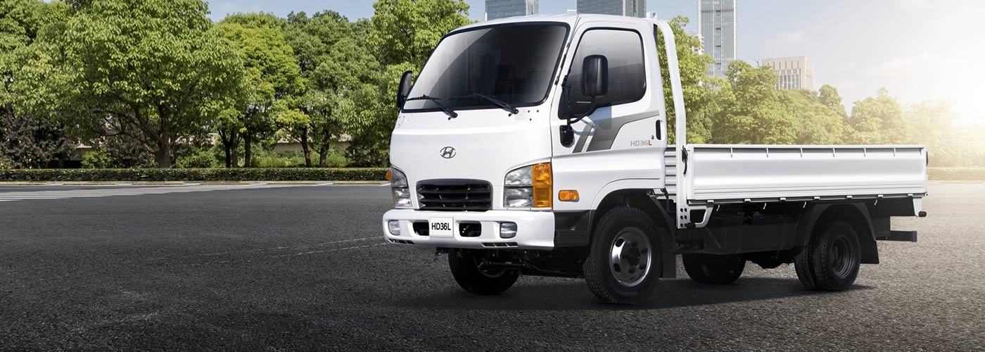 2019 Hyundai HD36 dropside truck