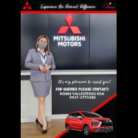 Noims Vallesteros Roa