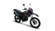Skygo Earl 150