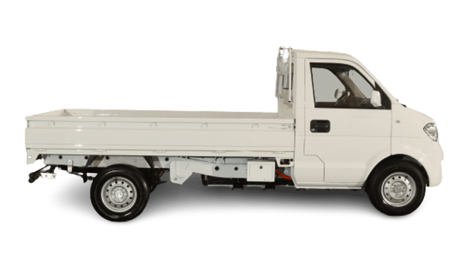 Dongfeng EC31 Profile