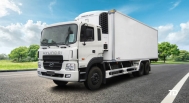 Hyundai HD250 Refrigerated Truck